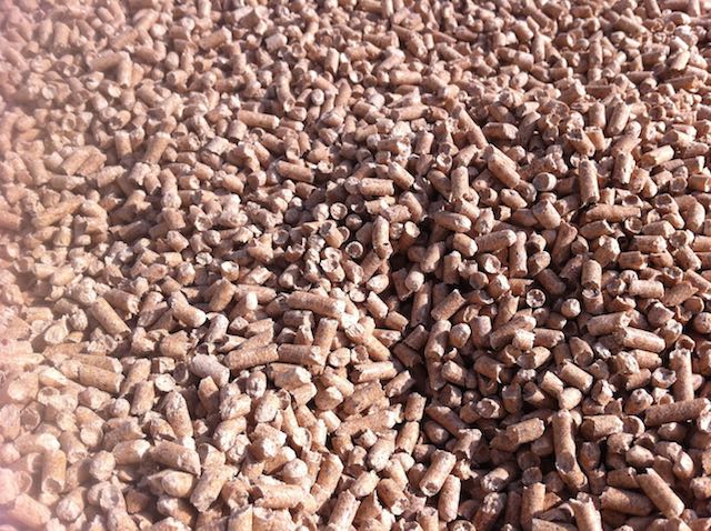 Holzpellets