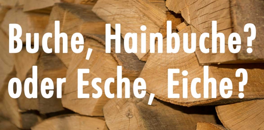 Welches Holz brennt am besten?